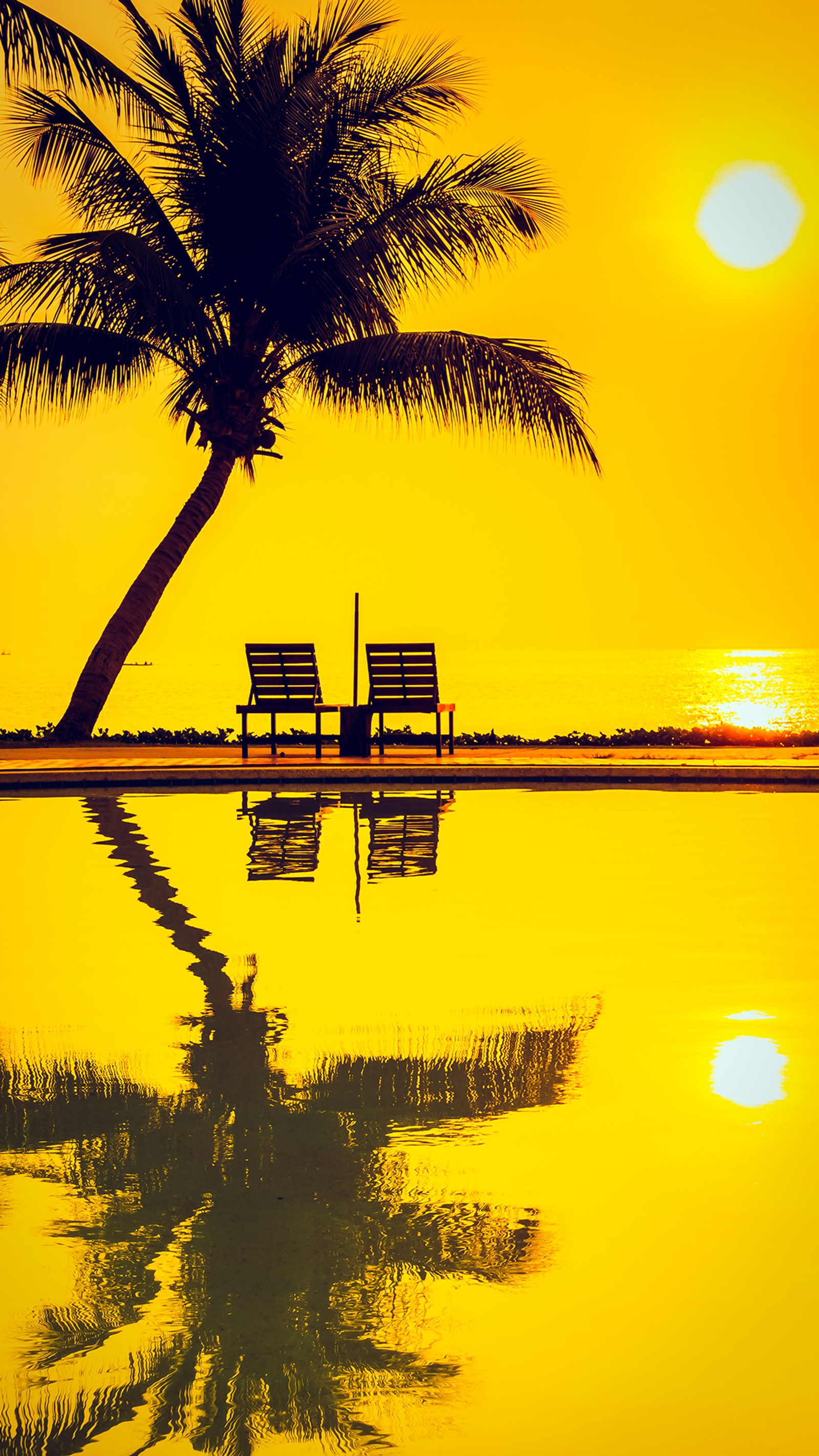 Palmier arabe et deux bancs sur une plage au coucher du soleil (ensoleillement, soundcloud, album, eau, plante)