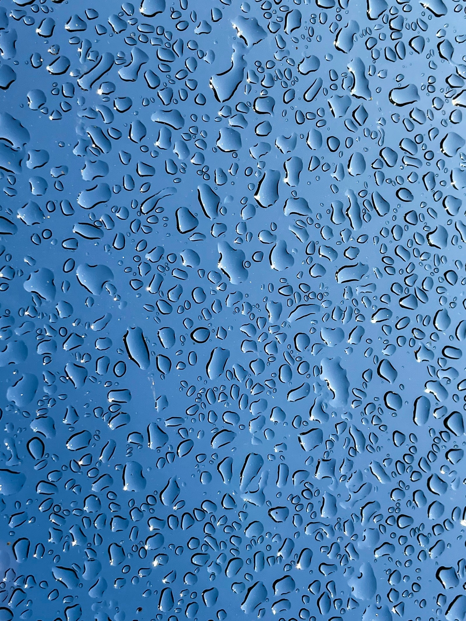 A close up of a blue surface with water droplets on it (liquid, water, azure, blue, aqua)