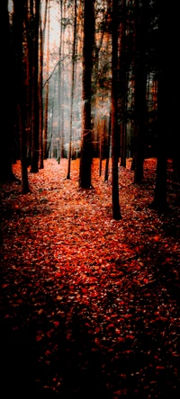 Autumn Landscape with Vibrant Orange Leaves in a Serene Forest