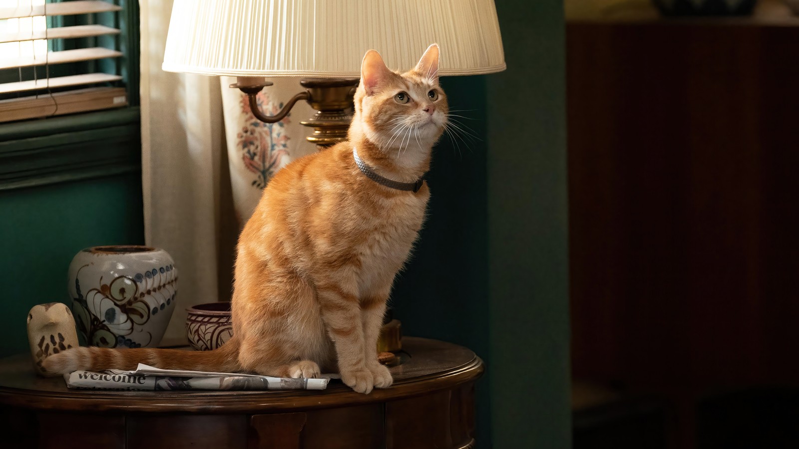 Hay un gato sentado en una mesa con una lámpara (los maravillas, película, marvel, cat, ganso)