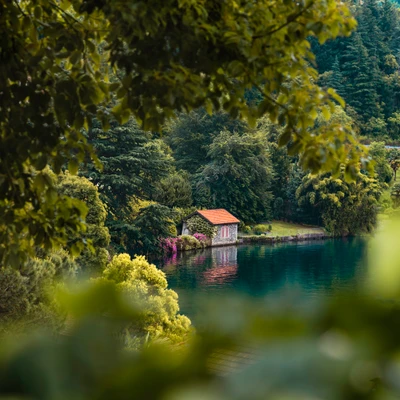 Granja tranquila junto al lago rodeada de exuberante vegetación y aguas reflectantes