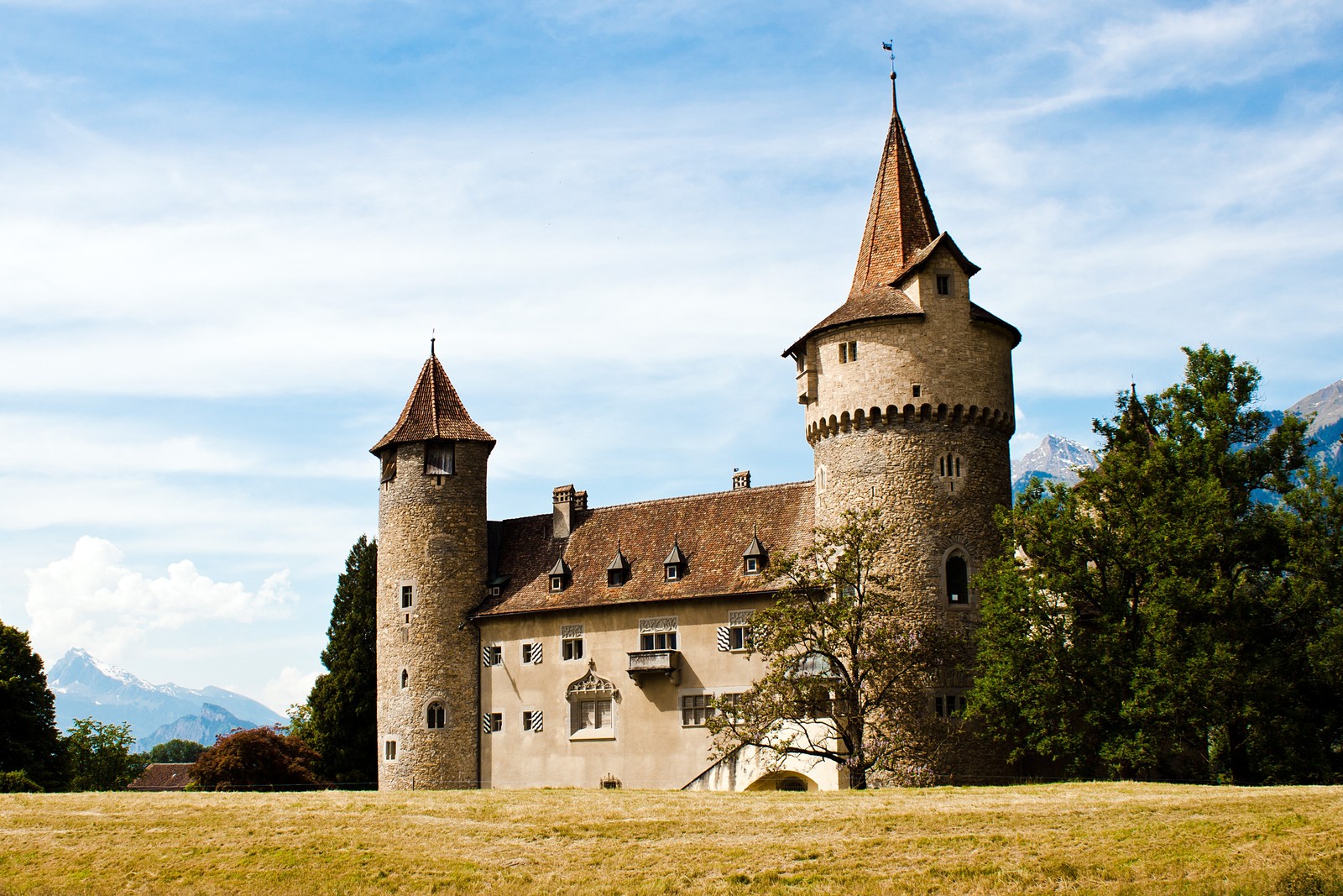 There is a large castle with a clock tower in the middle of a field (castle, medieval architecture, building, sky, historic site)