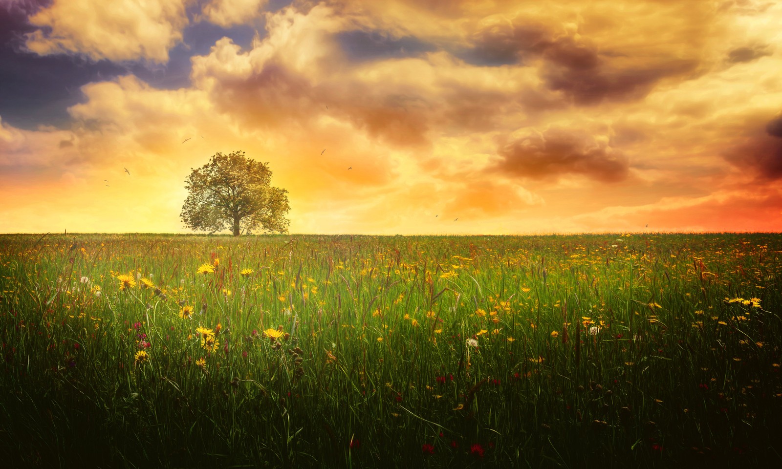 landscape, landscape painting, nature, meadow, field wallpaper