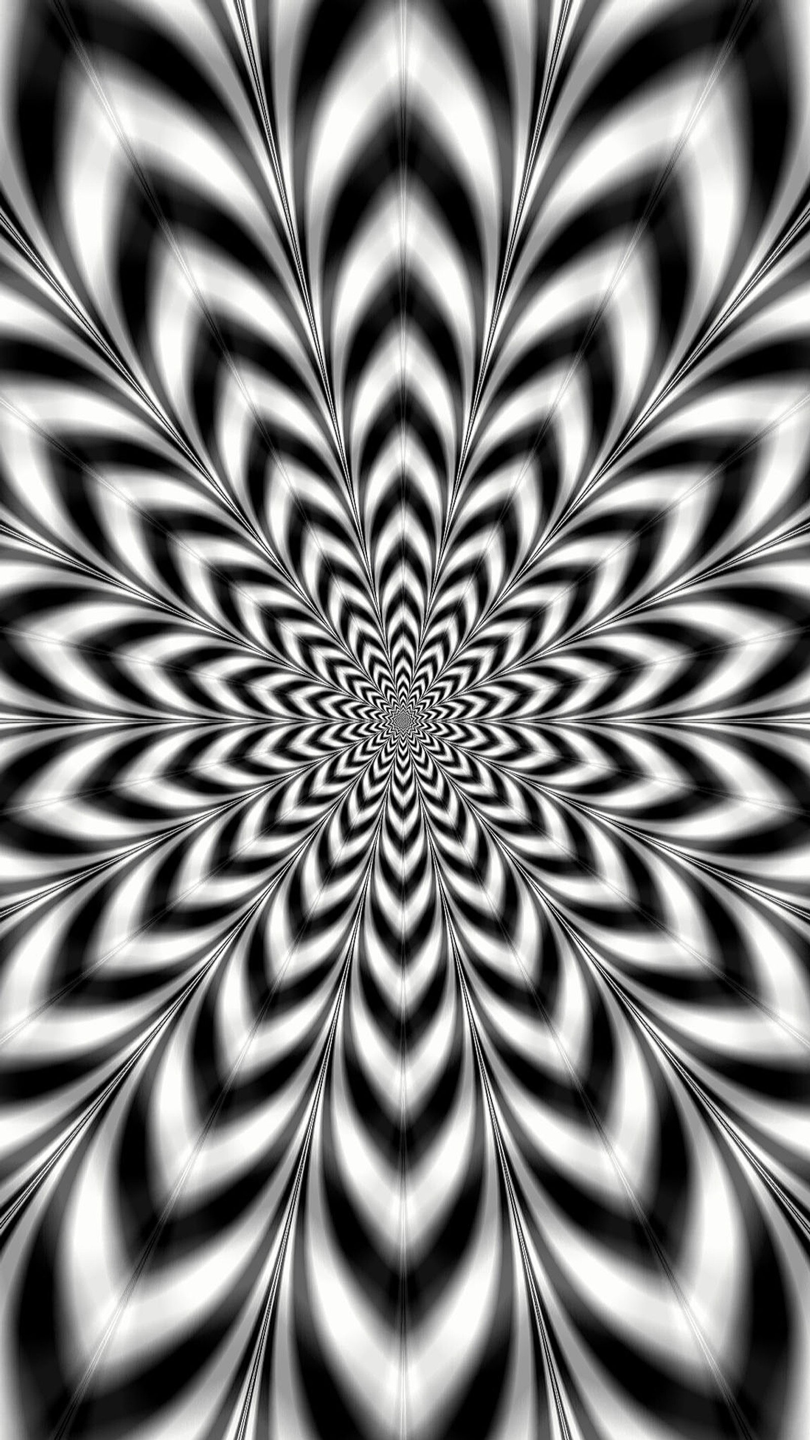 A black and white image of a flower with a spiral design (black, design, flower, illusion, white)