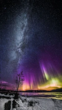 Aurora majestosa sobre um lago nevado sob um céu estrelado