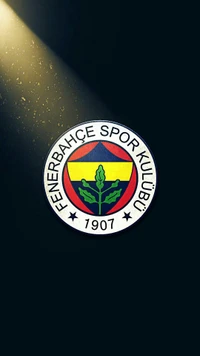 Emblem des Fenerbahçe Sportvereins mit Scheinwerfer