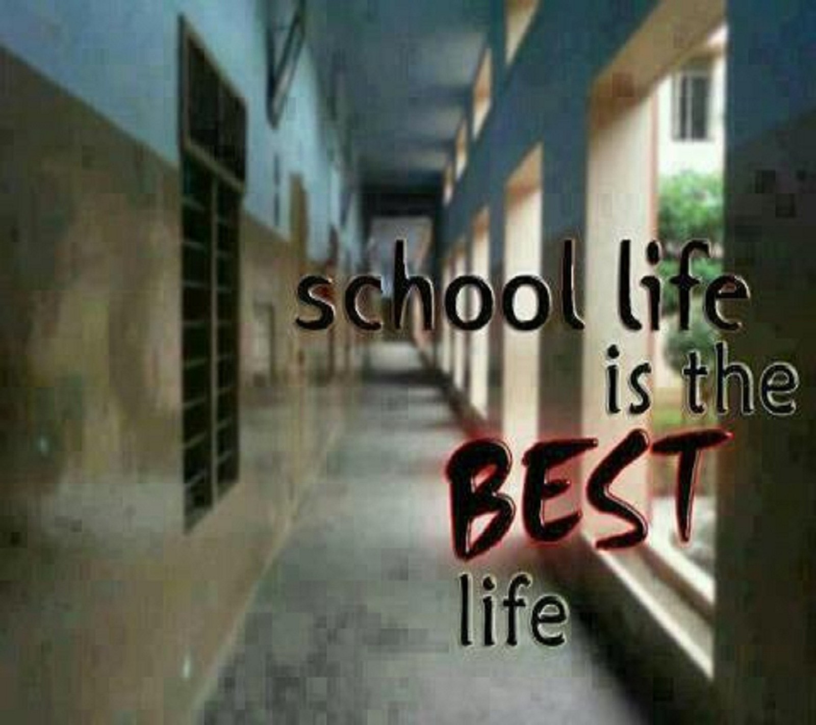 life, miss, school wallpaper