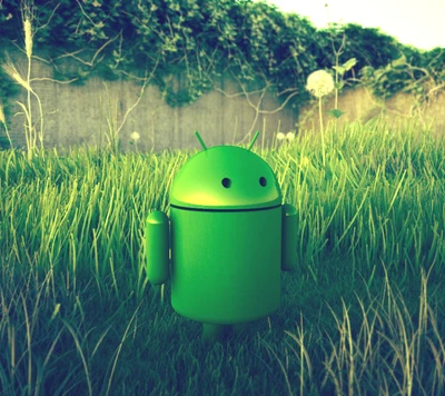 android