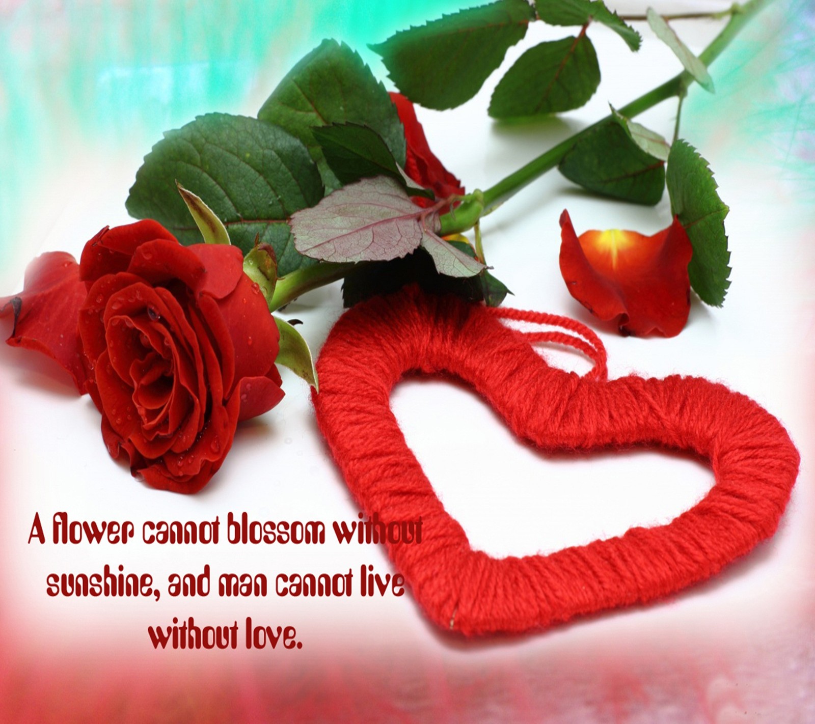 heart, love, rose, sayings wallpaper