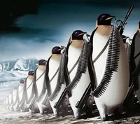 army, penguines wallpaper