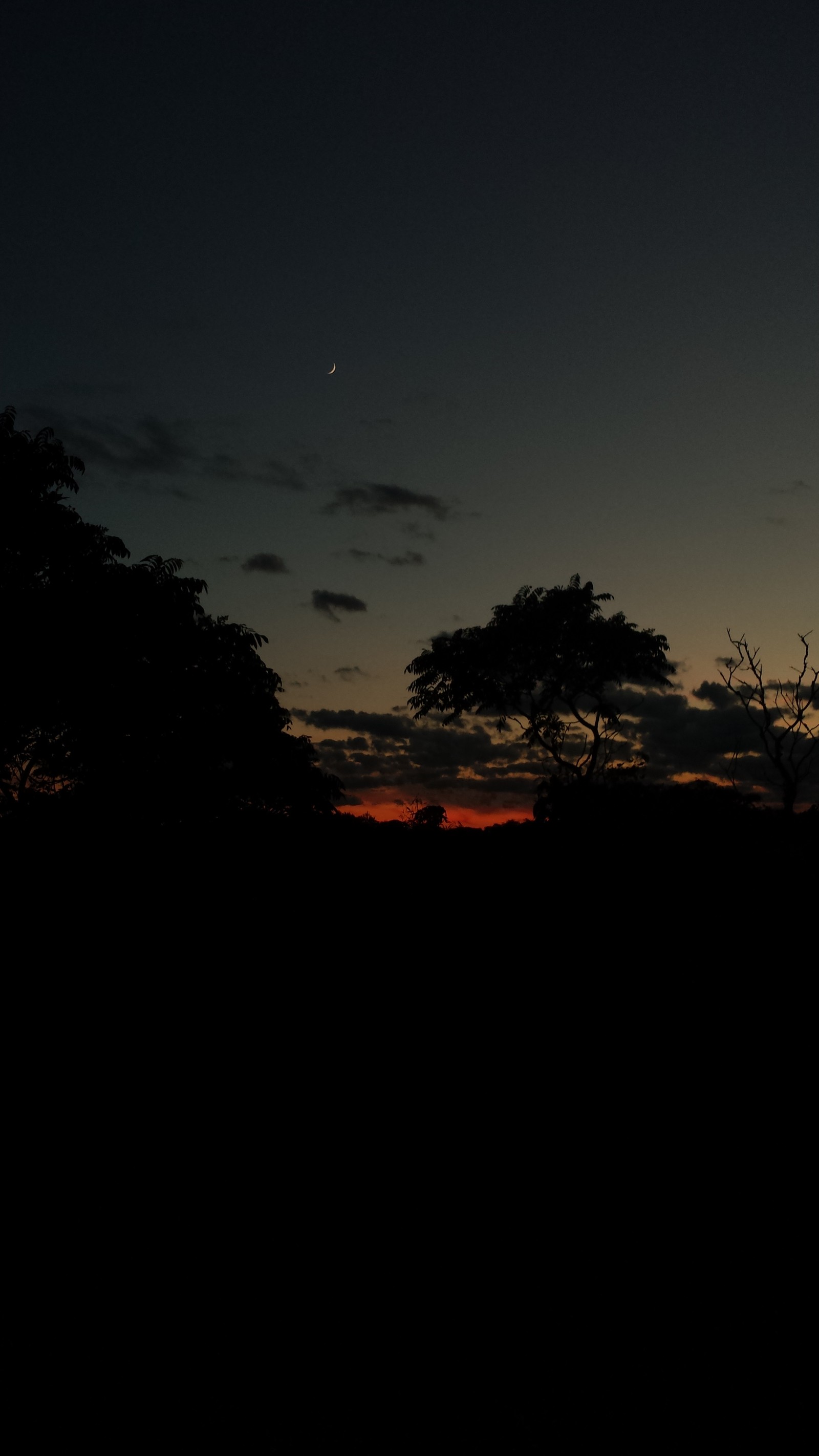 There is a dark sky with a few clouds and a few trees (dark, nature, night, real, red)