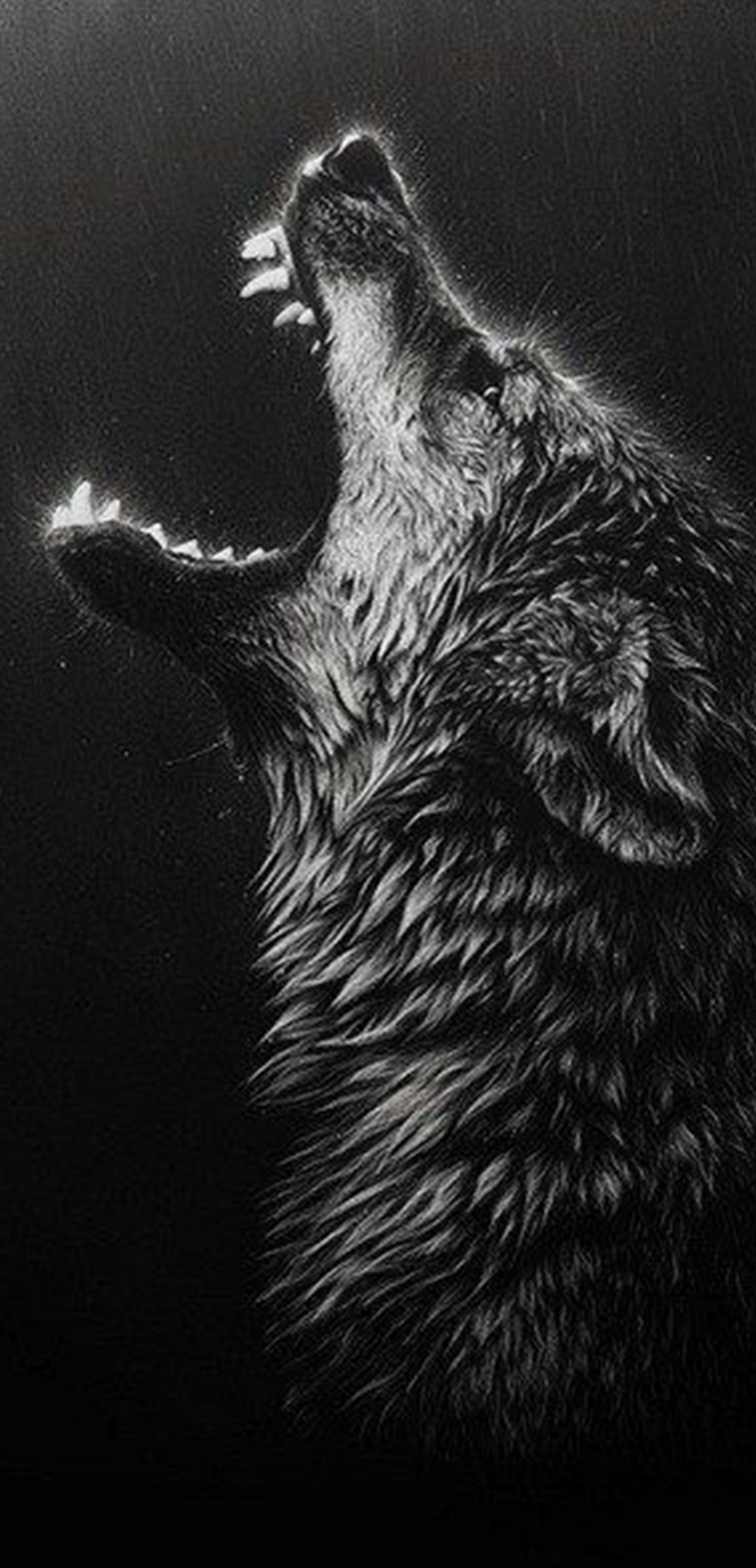 wolf, kurt, animal wallpaper