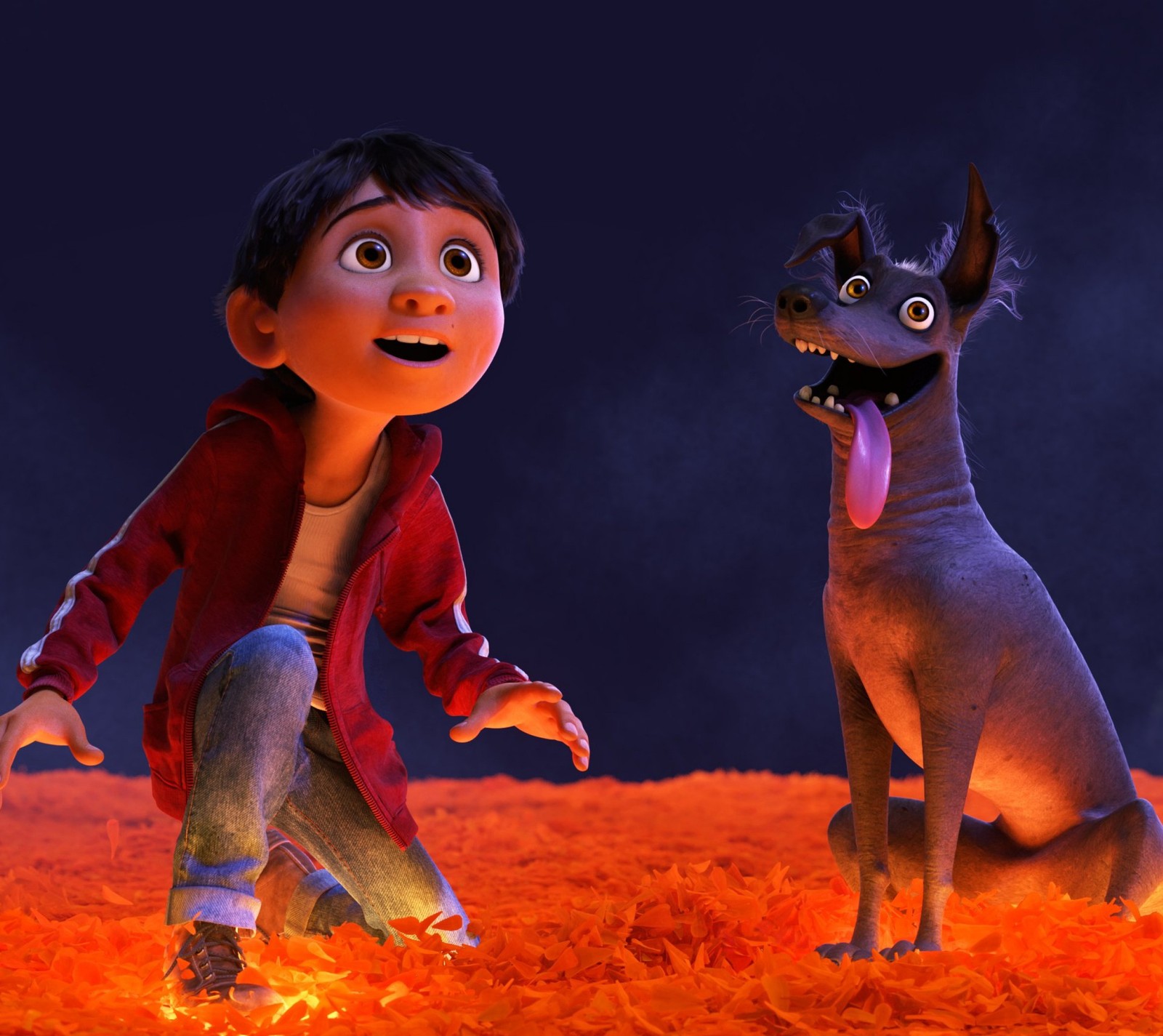 america, animation, coco, disney, dog Download Wallpaper