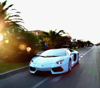 Lamborghini Aventador rast auf einer Küstenstraße