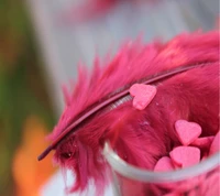 Pink Hearts on Vibrant Feathers: A Celebration of Love