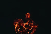 fire, flame, heat, performing arts, event