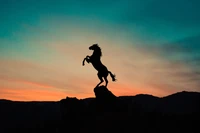 Silueta majestuosa de caballo contra un horizonte de atardecer colorido