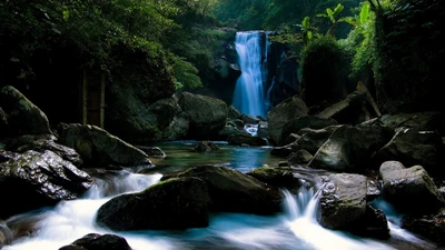 Cachoeira serena em meio à vegetação exuberante e riacho rochoso