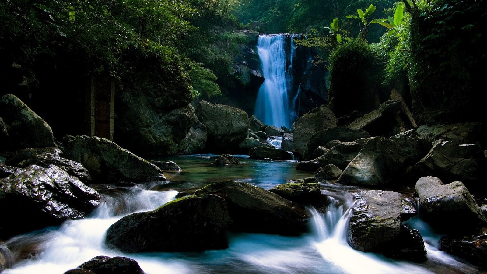 A close up of a waterfall in a forest with rocks and trees (waterfall, water resources, body of water, nature, watercourse)