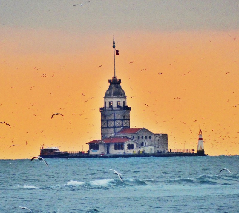 Стая чаек, летающих вокруг маяка в облачный день (фотография, море, вода)