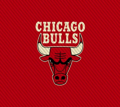 chicago bulls, nba