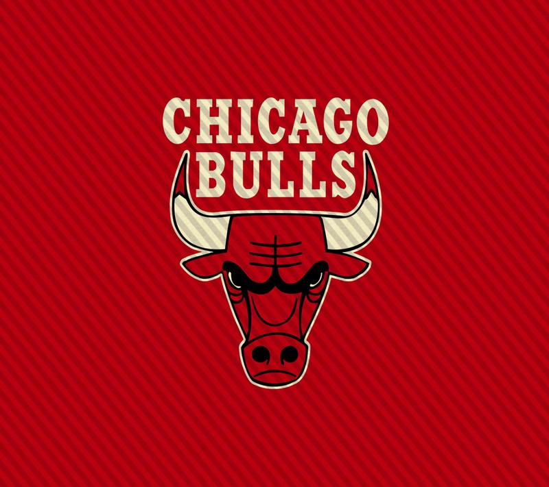 Обои чикаго буллз (чикаго буллс, chicago bulls, nba)