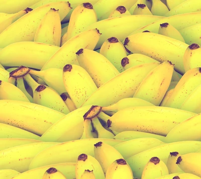 Bananas amarelas vibrantes em uma selva verde exuberante