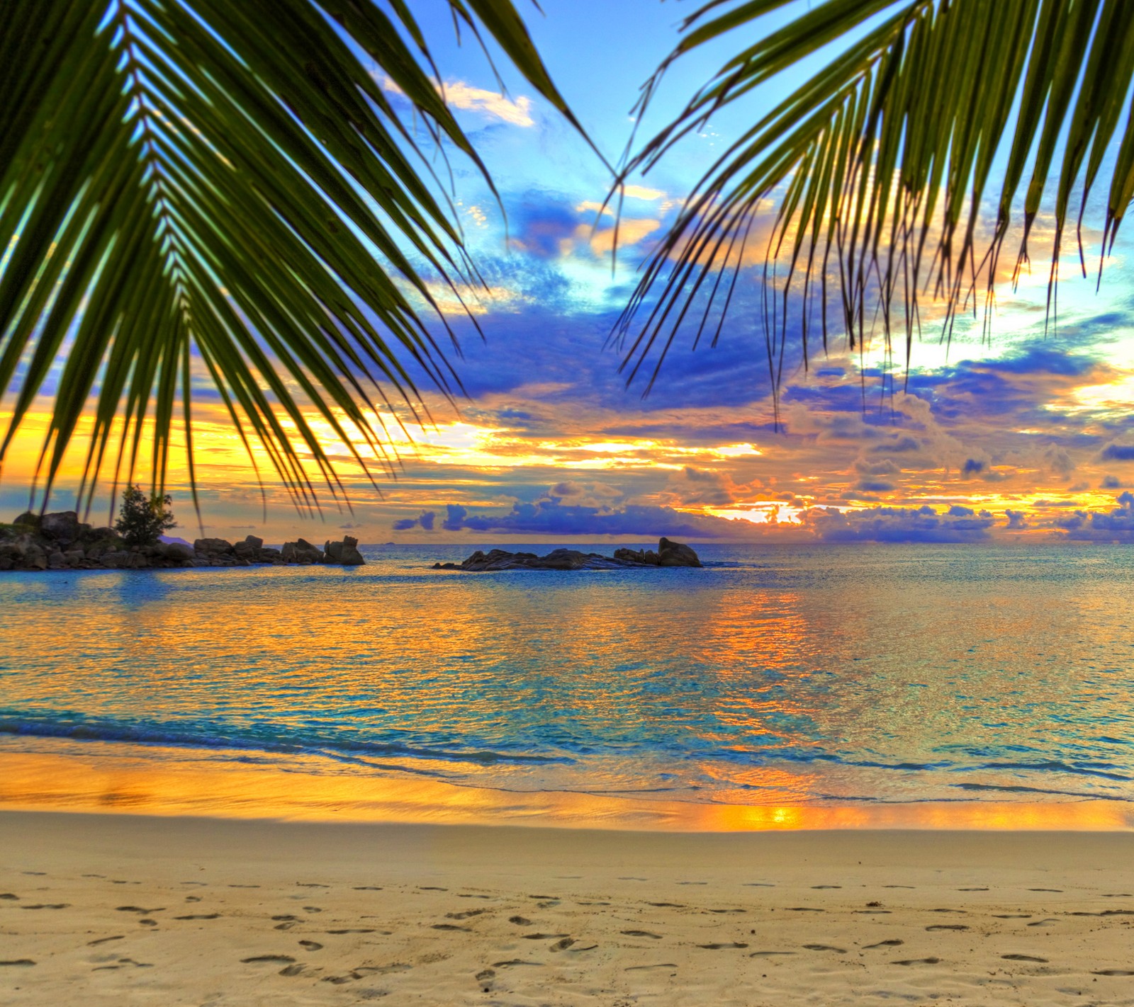 Vista de una playa con una palmera y un atardecer (playa, naturaleza, palmas, atardecer, tropical)