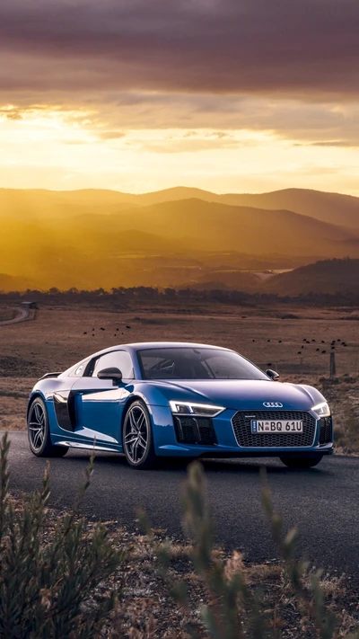 1080x1920, audi r8 v10 plus, coches