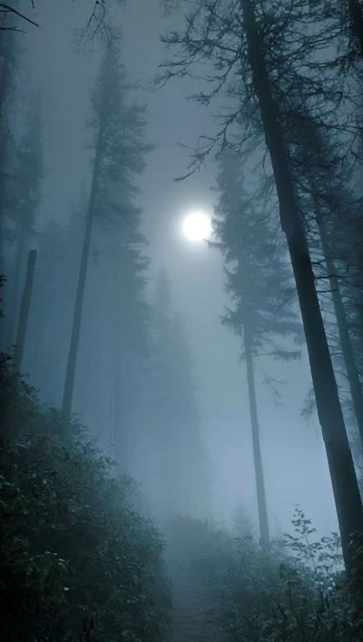 Forêt brumeuse au clair de lune : Une nuit d'Halloween effrayante