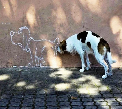 Um cachorro interage curiosamente com um desenho de giz de outro cachorro em uma parede.