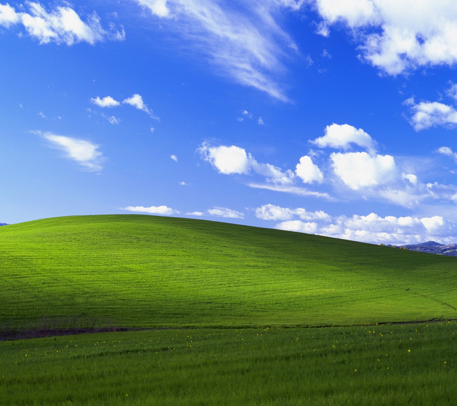 Arafed view of a green field with a blue sky and clouds (cloud, grass, hill, microsoft, qhd)