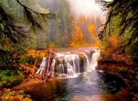 vista de la naturaleza, árboles de agua