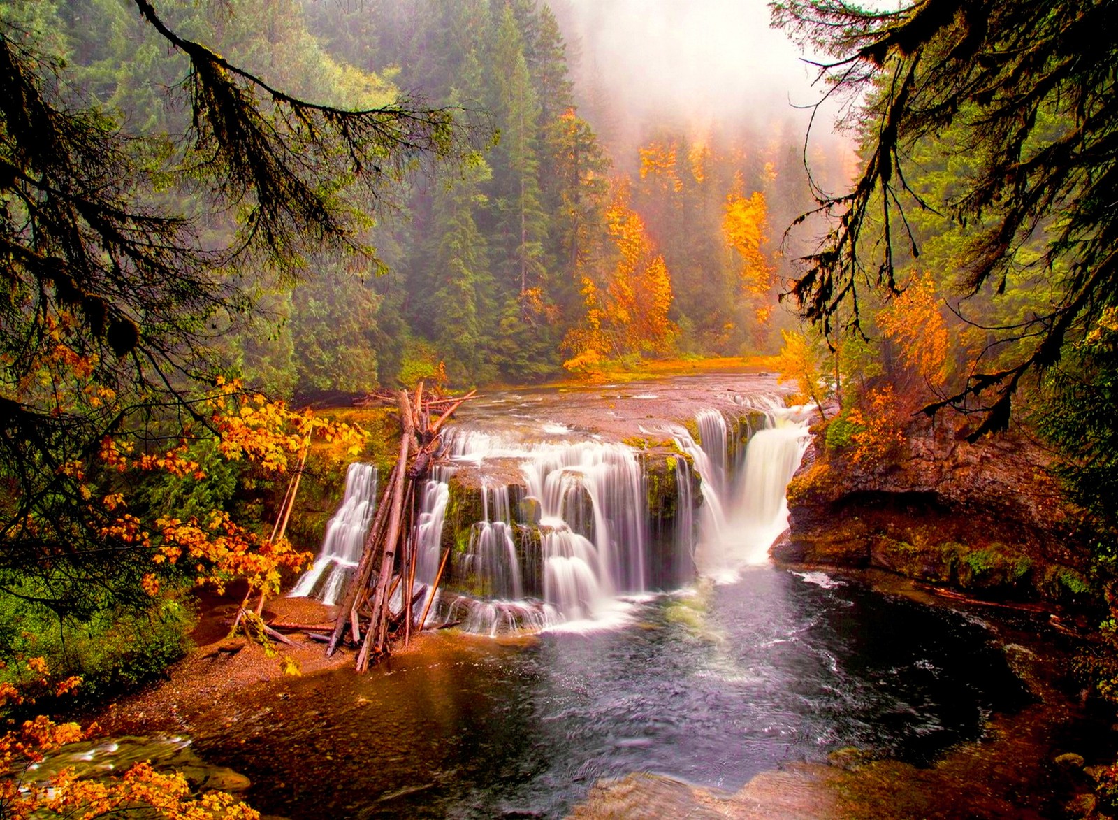 Eine nahaufnahme eines wasserfalls im wald mit bäumen (naturansicht, wasserbäume)