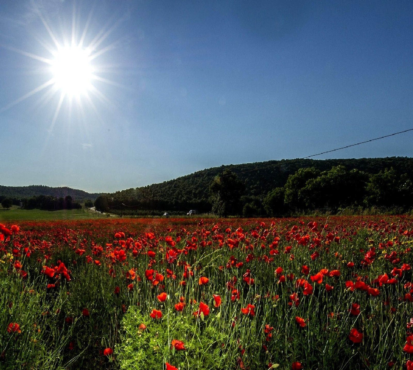 Lade  Hintergrund herunter