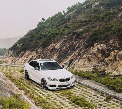 2er serie, 220i, bmw, coupé, f22