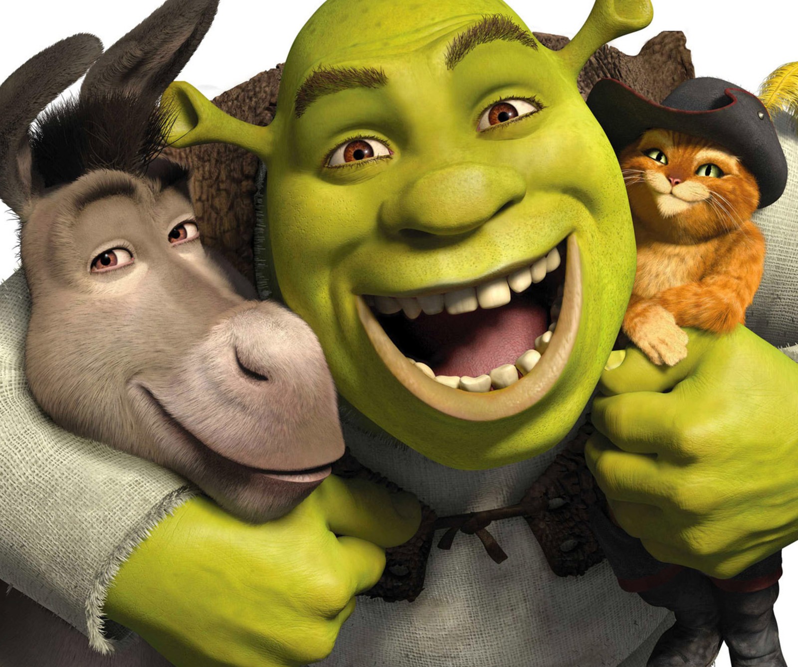 Um close-up de um burro e de um burro com um homem de chapéu (desenhos animados, entretenimento, shrek)