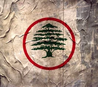 cedar, lebanese wallpaper