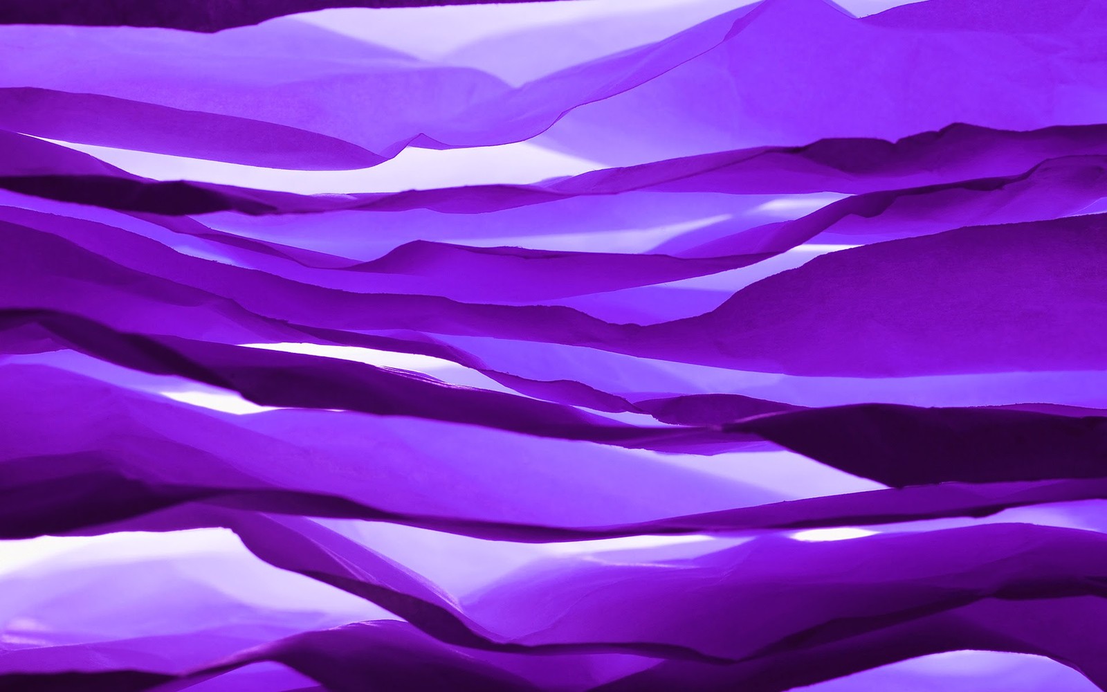 Purple tissue paper is blowing in the wind (windows, windows 10, windows 8 1, windows 8, microsoft windows)