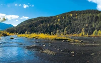 Nature sauvage sibérienne : Réflexions d'automne sur un paysage fluvial serein