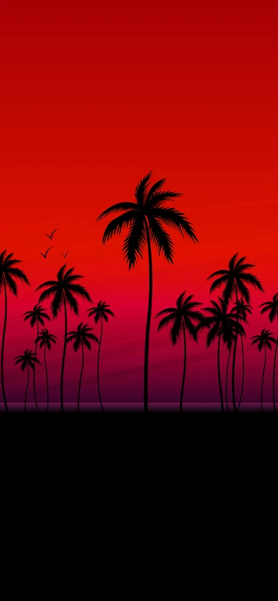 Silhouetted Palm Trees Against a Vibrant Sunset Afterglow