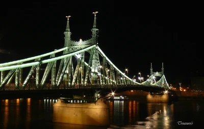 Illuminated Chain Bridge at Night: A Stunning Cityscape Reflection