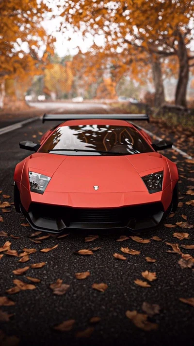 lamborghini gallardo, carros, supercarro, lamborghini murciélago, lamborghini murcilago