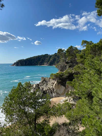 costa, vegetação, nuvem, paisagem natural, oceano