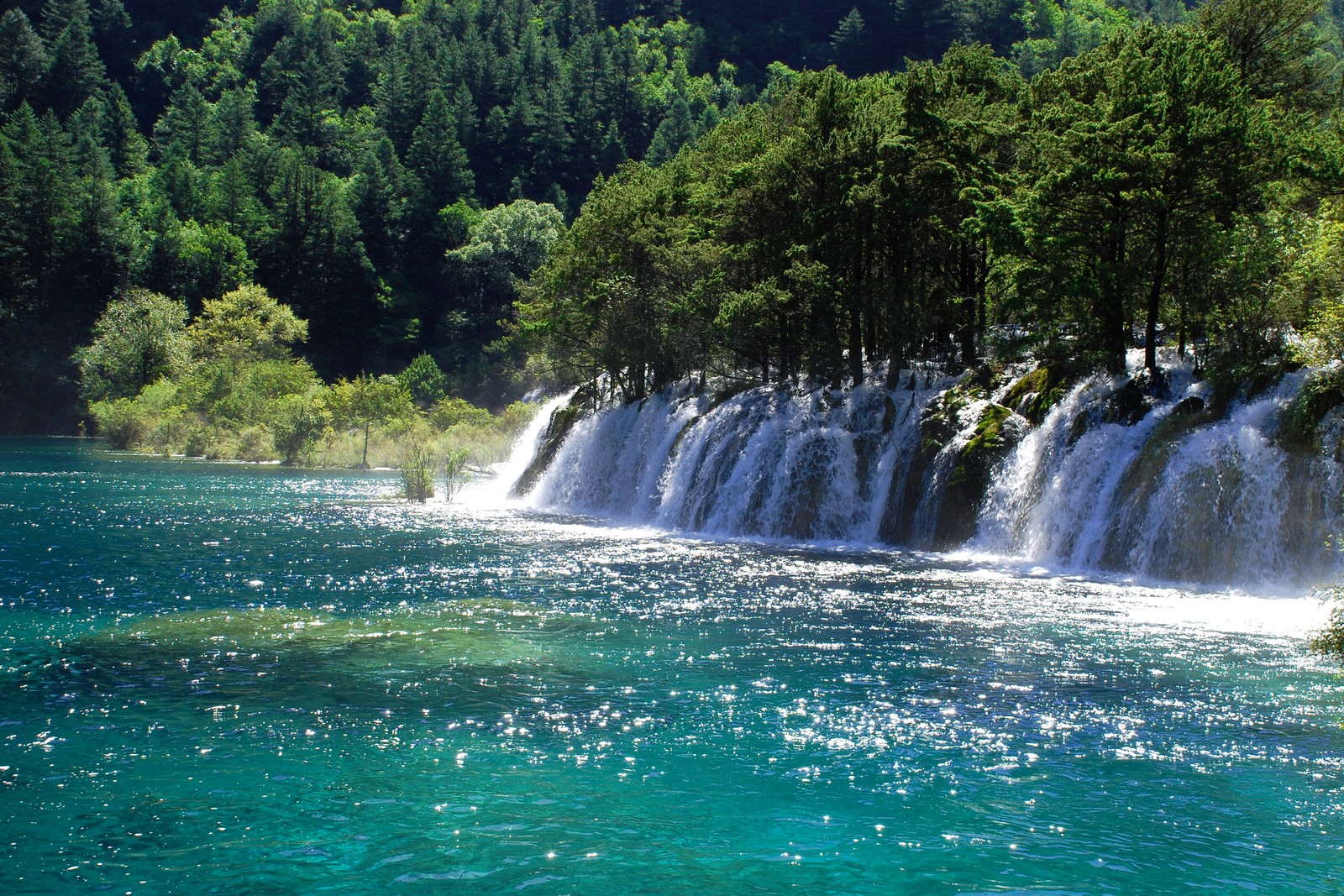 Uma grande cachoeira no meio de um lago cercado por árvores (cachoeira, parque nacional, parque, recursos hídricos, corpo de água)