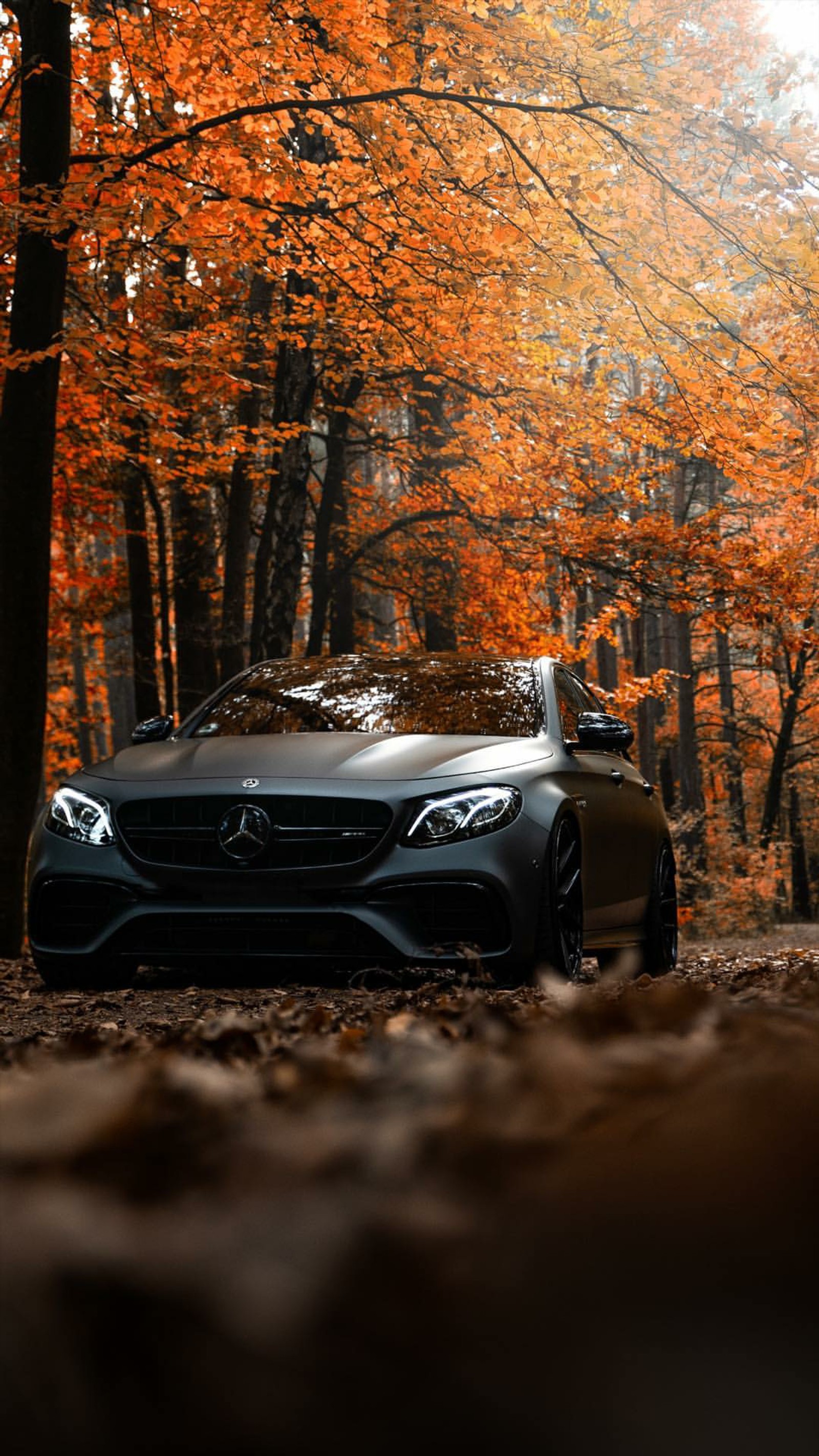 Un gros plan d'une voiture garée dans une forêt avec des feuilles oranges (mercedes, amg, noir, voiture, supersportive)