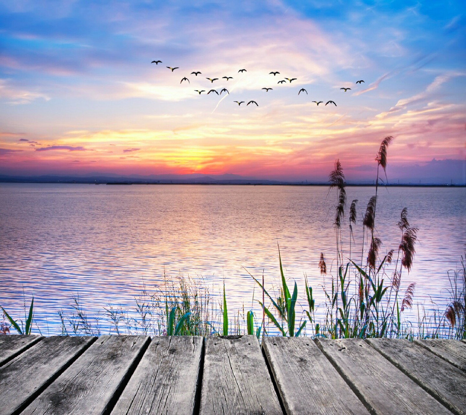 Una vista de un muelle con un atardecer y pájaros volando sobre el agua (flores, jardín, naturaleza, agradable, fondos de pantalla)