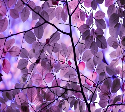 Flüstern der Natur: Ein traumhafter Wandteppich aus rosa Blättern