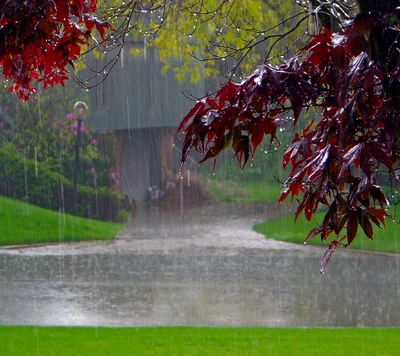 chuva, papel de parede