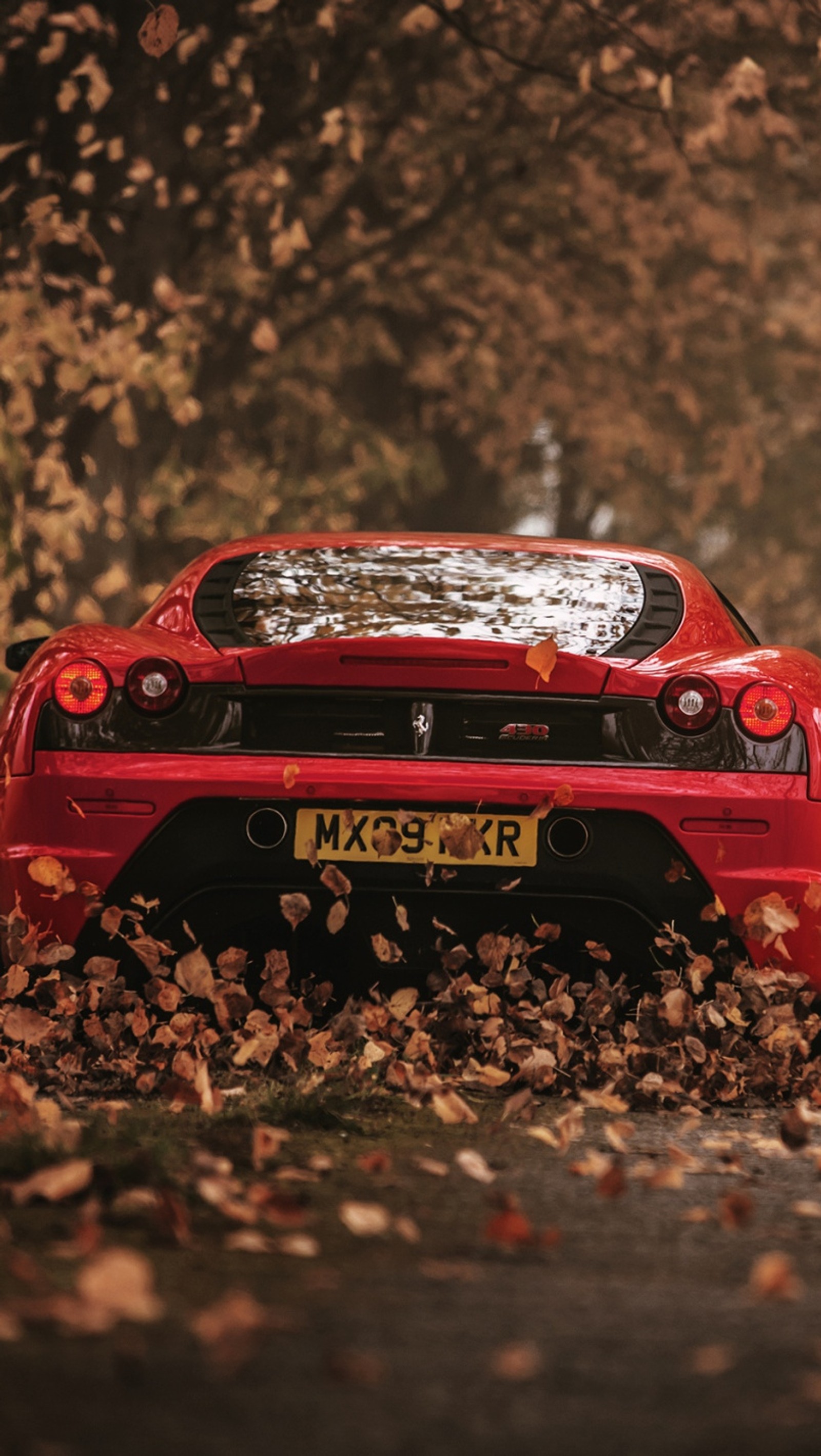 Descargar fondo de pantalla otoño, hojas, rojo, camino, velocidad